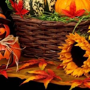 Meet your Posher, Rhonda